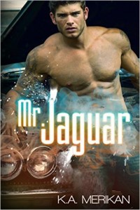 Mr.-Jaguar