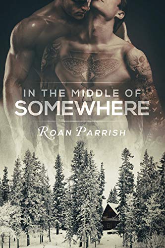 In the Middle of Somewhere (Middle of Somewhere #1) by Roan Parrish