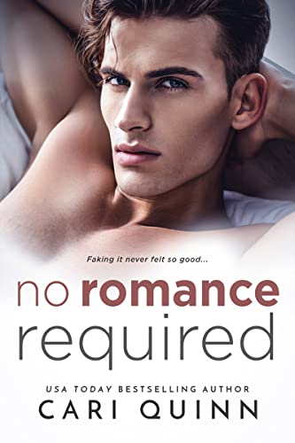 No Romance Required (Love Required Book 3) by Cari Quinn
