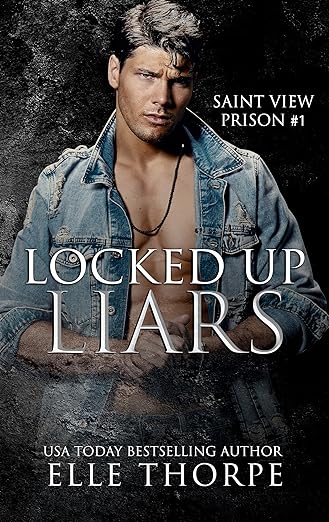 Locked Up Liars (Saint View Prison Book 1) by Elle Thorpe