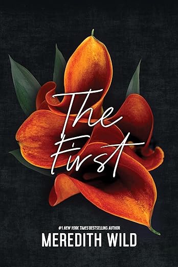 The First (Saucy Standalones) by Meredith Wild