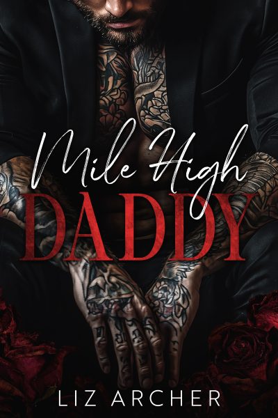 Featured Steamy Romance Book: Mile High Daddy by Liz Archer