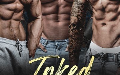 Featured Steamy Romance Book: Inked Daddies by Liz Archer